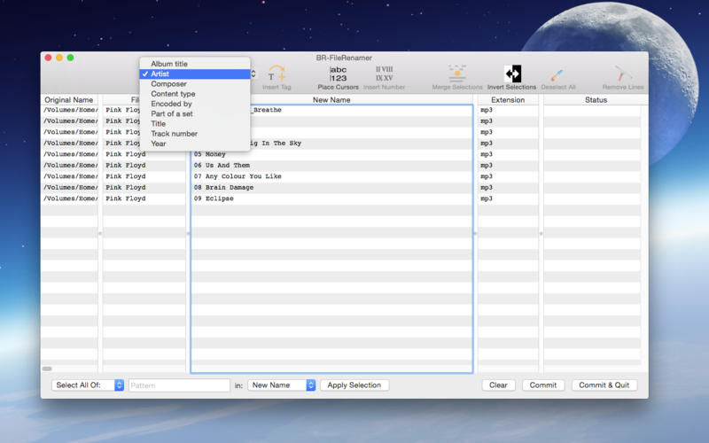 Screenshot of BR-FileRenamer selecting a file-tag
